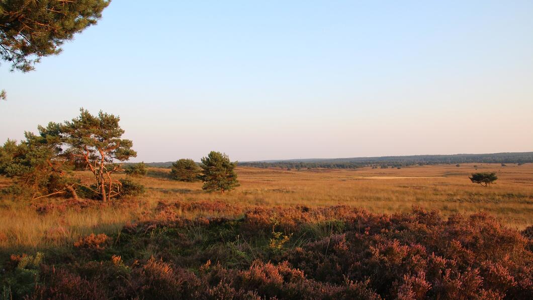 via Pixabay veluwe-g437d0935a_1920