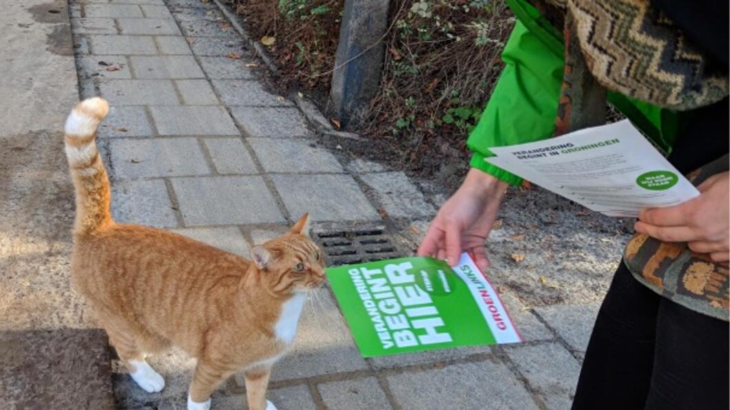 Dierenwelzijn ook voor de poes