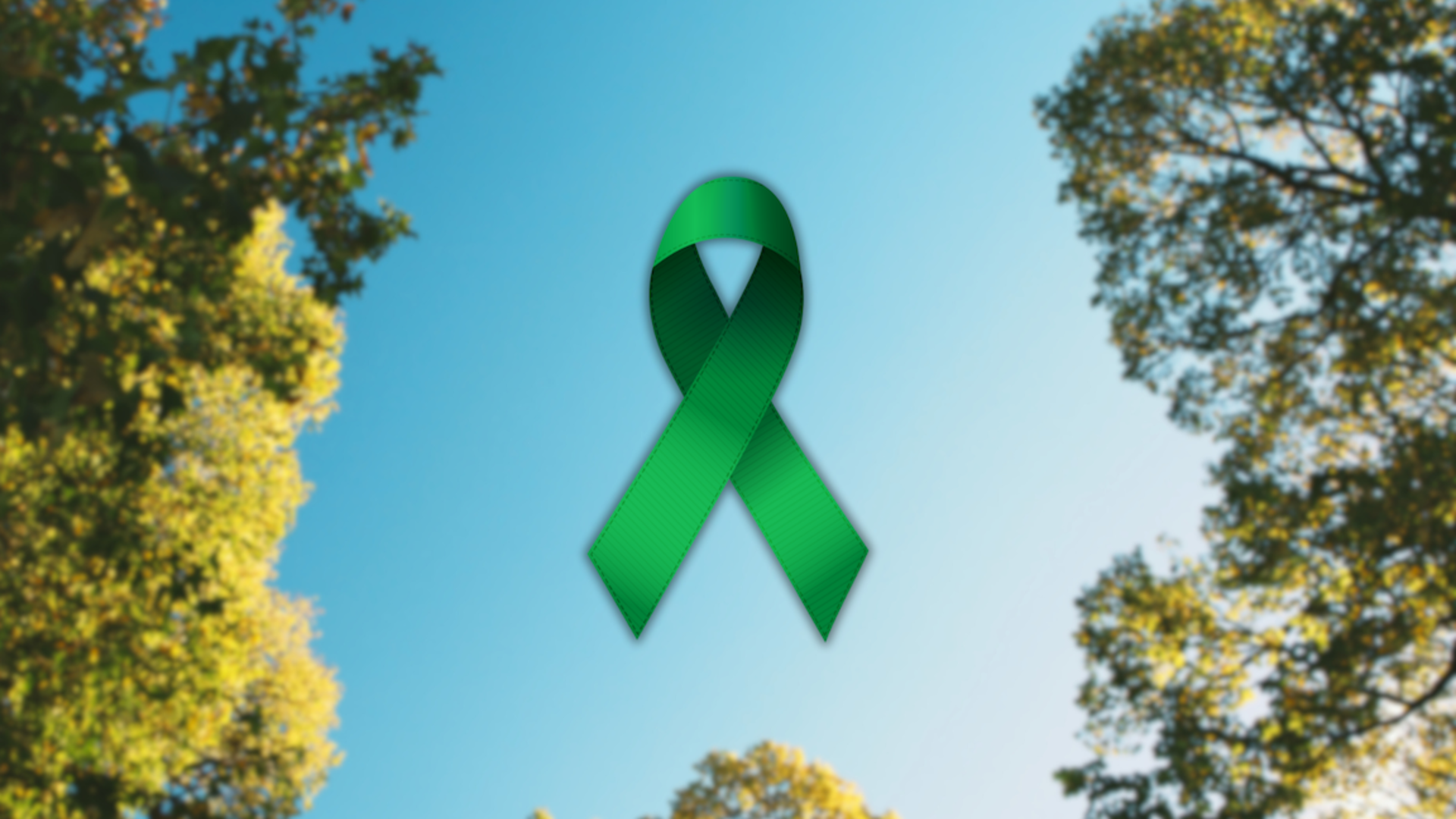 Website afbeelding groene lintje