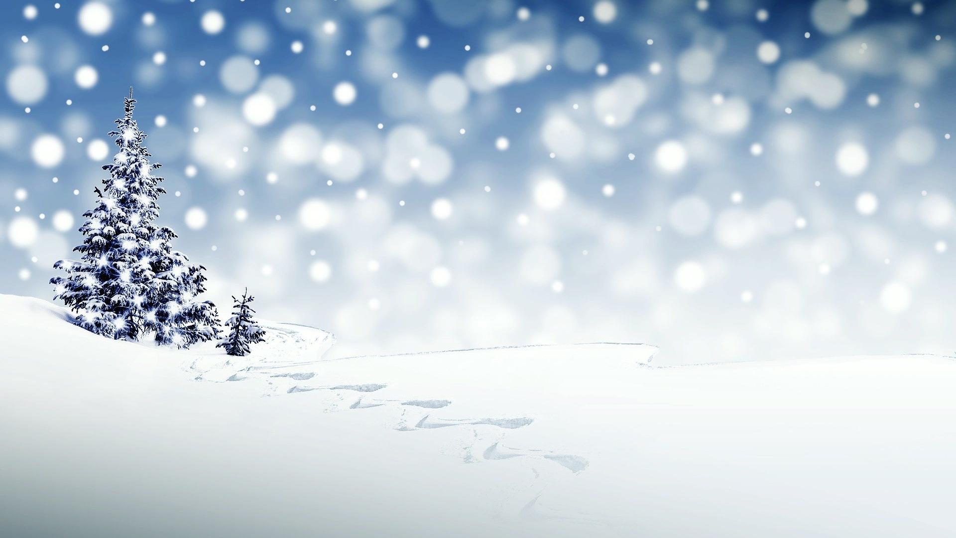 christmas-3864552_1920.jpg