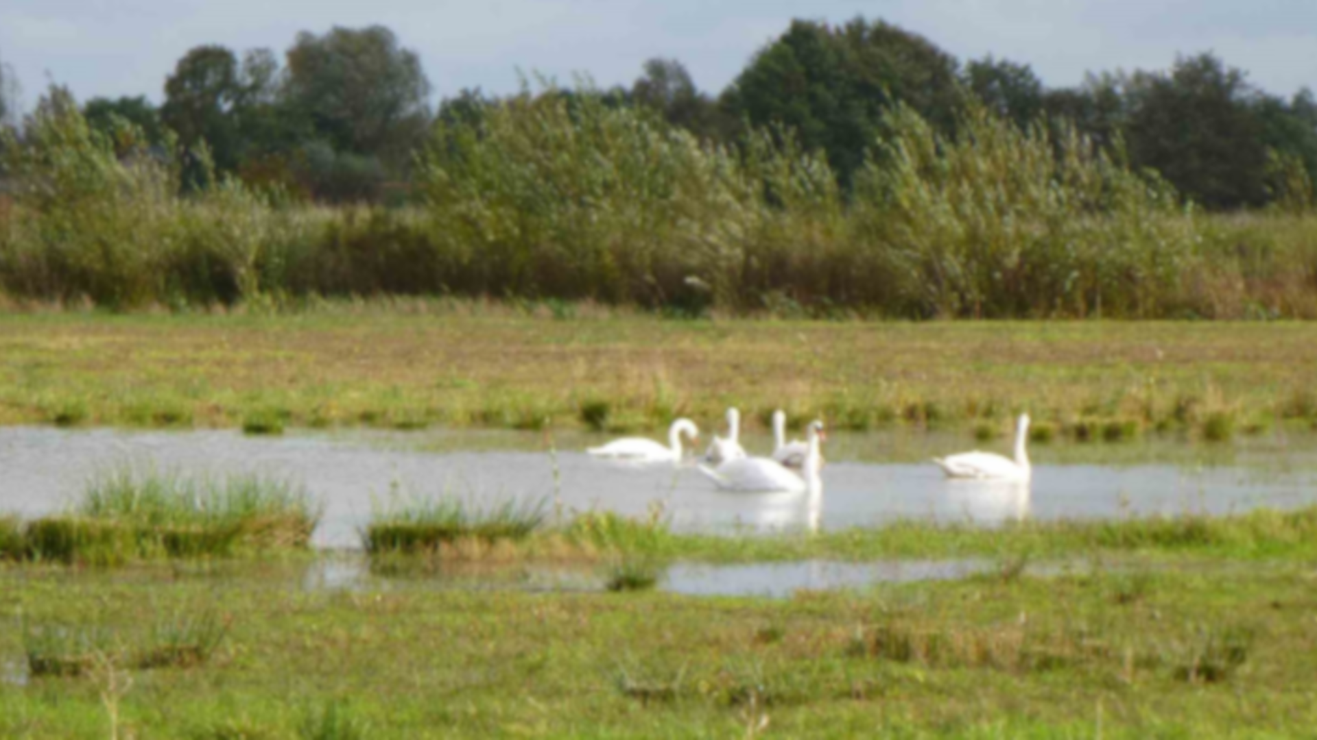 WN-ValleiVeluwe-Leusden-Schammer-2.png