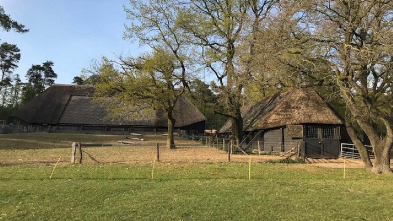 Loenen, foto van Hansjurgen Heinen 2.jpg
